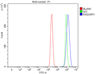 RASGRP1 Rabbit Polyclonal Antibody
