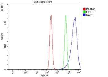 RARS/RARS1 Rabbit Polyclonal Antibody