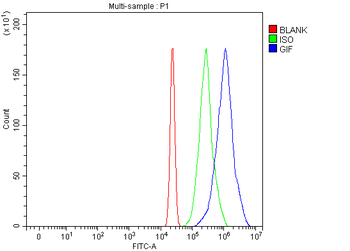 CBLIF Rabbit Polyclonal Antibody