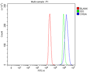 Chromogranin A/CHGA Rabbit Polyclonal Antibody