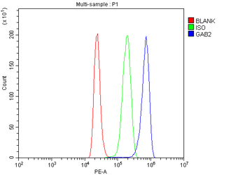 GAB2 Rabbit Polyclonal Antibody