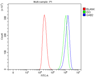 GAB2 Rabbit Polyclonal Antibody