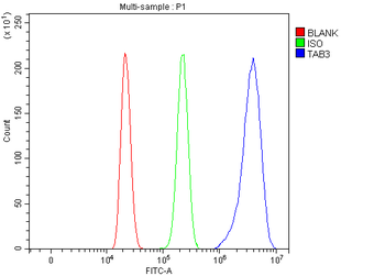 TAB3 Rabbit Polyclonal Antibody