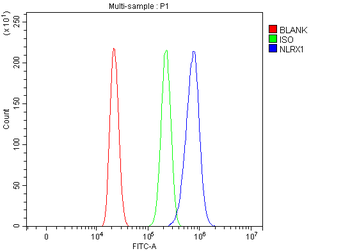 NLRX1 Rabbit Polyclonal Antibody