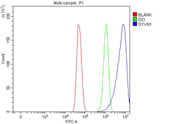 HRD1/SYVN1 Rabbit Polyclonal Antibody