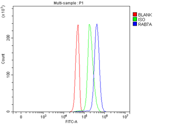 RAB7/RAB7A Rabbit Polyclonal Antibody