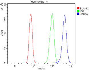 RAB7/RAB7A Rabbit Polyclonal Antibody