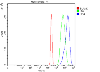 DNA Ligase IV/LIG4 Rabbit Polyclonal Antibody
