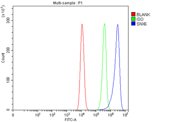 SNX6 Rabbit Polyclonal Antibody