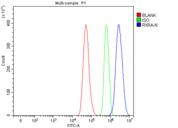 RXRA Rabbit Polyclonal Antibody
