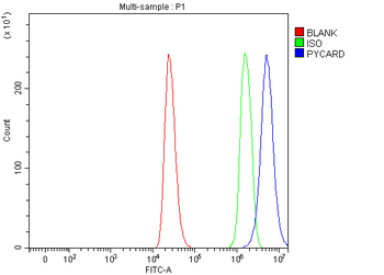 ASC/TMS1/PYCARD Rabbit Polyclonal Antibody