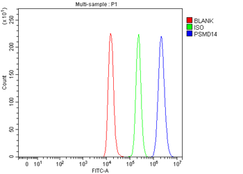 POH1/PSMD14 Rabbit Polyclonal Antibody