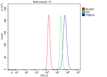 PSMC4 Rabbit Polyclonal Antibody