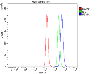 PSMA1 Rabbit Polyclonal Antibody