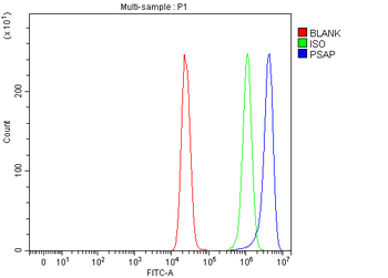 PSAP Rabbit Polyclonal Antibody