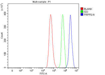 PRPF6 Rabbit Polyclonal Antibody