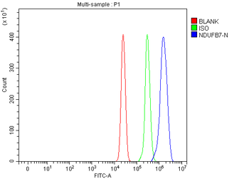 NDUFB7 Rabbit Polyclonal Antibody
