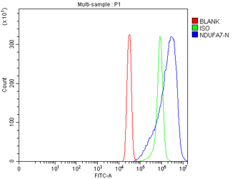 NDUFA7 Rabbit Polyclonal Antibody