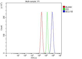 BCL11B Rabbit Polyclonal Antibody