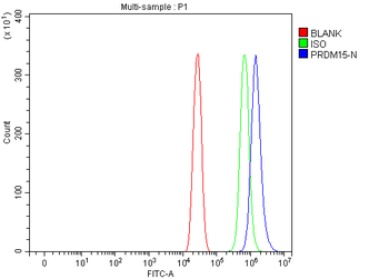 PRDM15 Rabbit Polyclonal Antibody