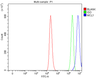 MCL1 Rabbit Polyclonal Antibody