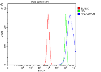 CEA/CEACAM5 Rabbit Polyclonal Antibody