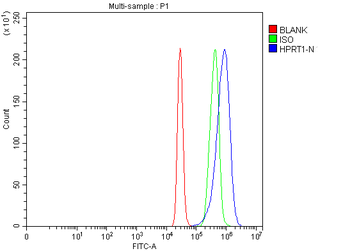 HPRT1 Rabbit Polyclonal Antibody