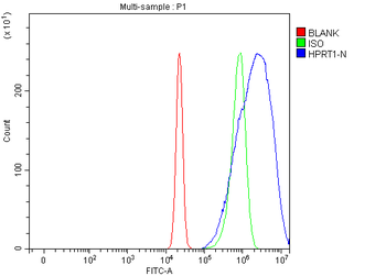 HPRT1 Rabbit Polyclonal Antibody