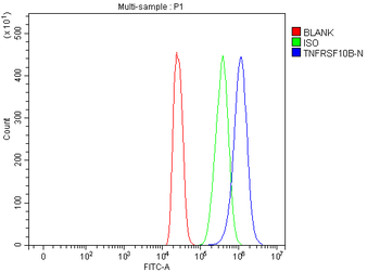 DR5/TNFRSF10B Rabbit Polyclonal Antibody