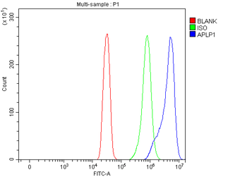 APLP1 Rabbit Polyclonal Antibody