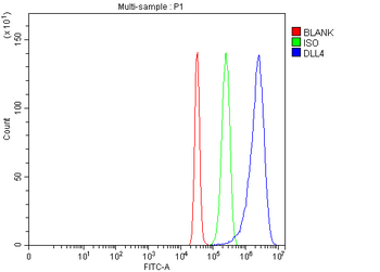 DLL4 Rabbit Polyclonal Antibody
