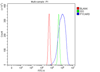 ASC/TMS1/Pycard Rabbit Polyclonal Antibody