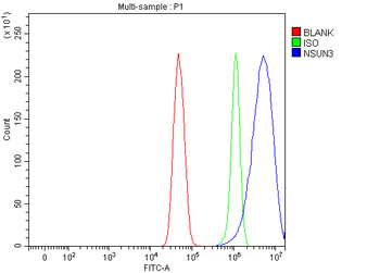 NSUN3 Rabbit Polyclonal Antibody