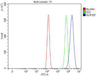 NUP107 Rabbit Polyclonal Antibody