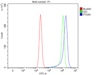 PTGR1 Rabbit Polyclonal Antibody