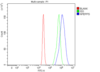 NPEPPS Rabbit Polyclonal Antibody