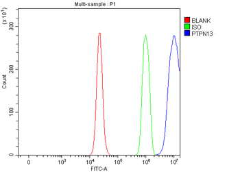 PTPN13 Rabbit Polyclonal Antibody