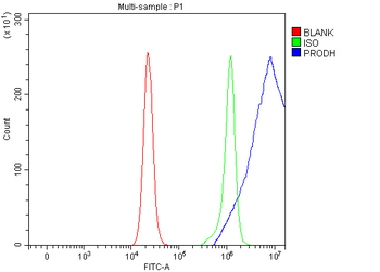 PRODH Rabbit Polyclonal Antibody