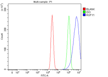 RUFY1 Rabbit Polyclonal Antibody