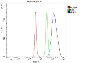 NHP2 Rabbit Polyclonal Antibody