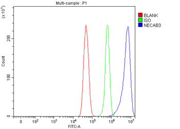 NECAB3 Rabbit Polyclonal Antibody