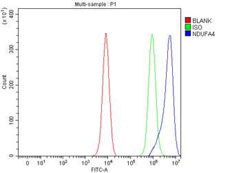 NDUFA4 Rabbit Polyclonal Antibody