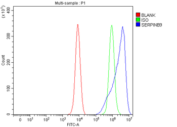 SERPINB9 Rabbit Polyclonal Antibody