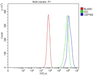CEP164 Rabbit Polyclonal Antibody