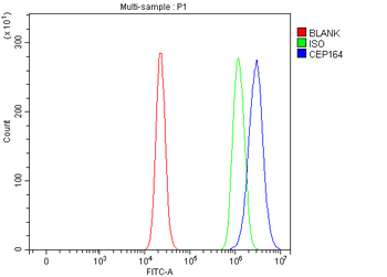 CEP164 Rabbit Polyclonal Antibody
