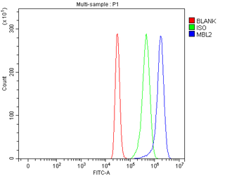 MBL2 Rabbit Polyclonal Antibody