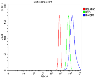 N4BP1 Rabbit Polyclonal Antibody