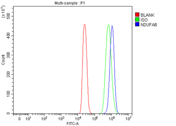 NDUFA8 Rabbit Polyclonal Antibody