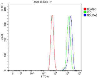 NDUFA8 Rabbit Polyclonal Antibody