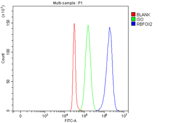 FOX2/RBM9/RBFOX2 Rabbit Polyclonal Antibody